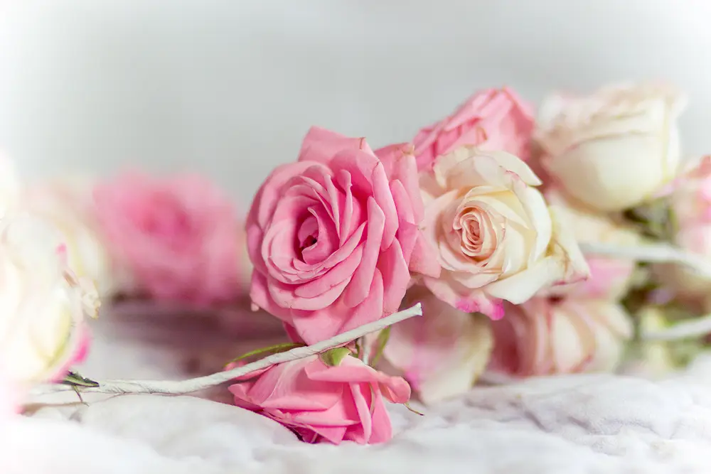 Mariages — Ania Mouravnik photographe 2