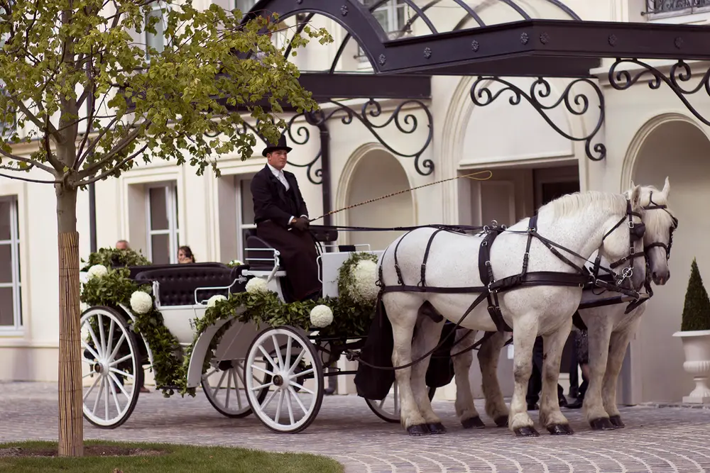 Mariages — Ania Mouravnik photographe 16